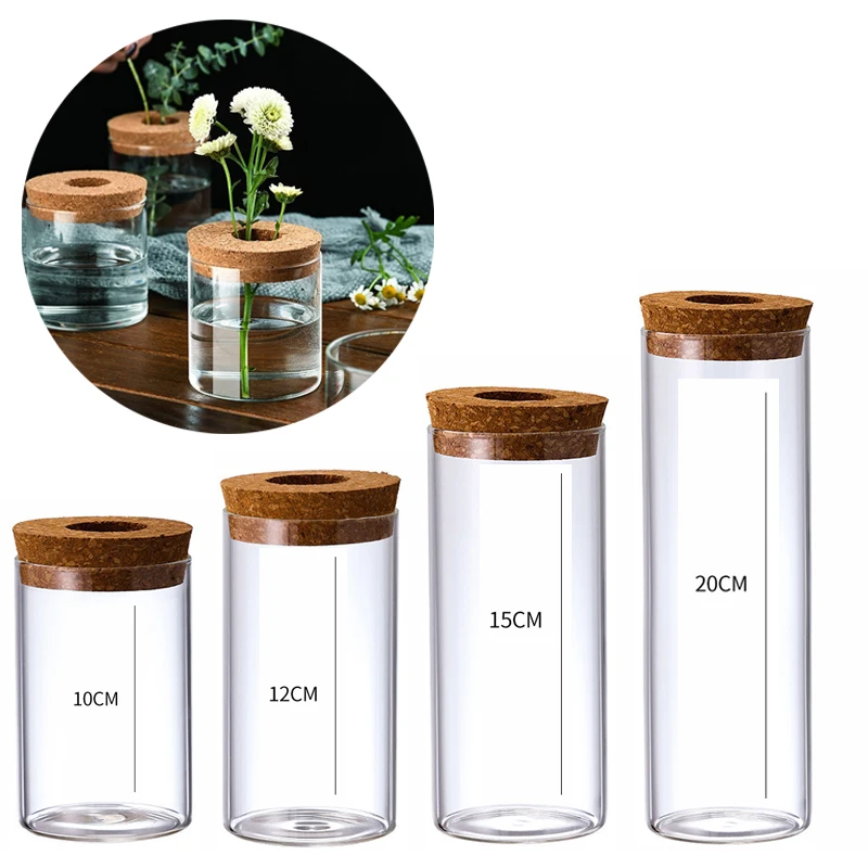

8-20cm Clear Glass Hydroponic Plant Pots Home Decoration Creative Greenery Desktop Ecological Glass Vase Green Plant Culture Pot