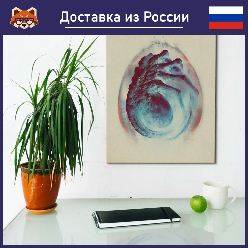 red panda from space red panda from space