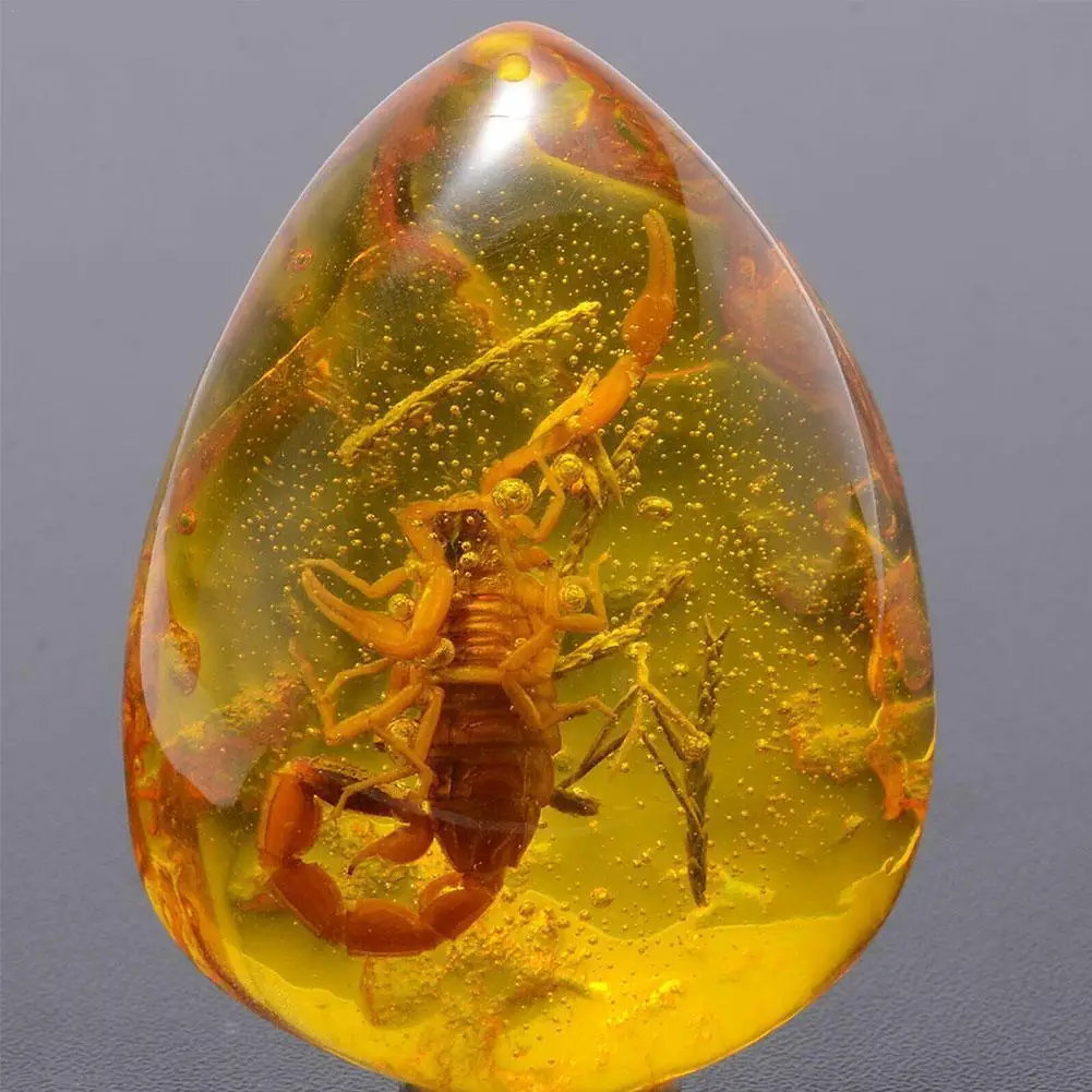 

Insect Stone Natural Scorpions Inclusion Amber Baltic DIY Party Necklace Wedding Home Stone Pendant Decorative Gift T1X8