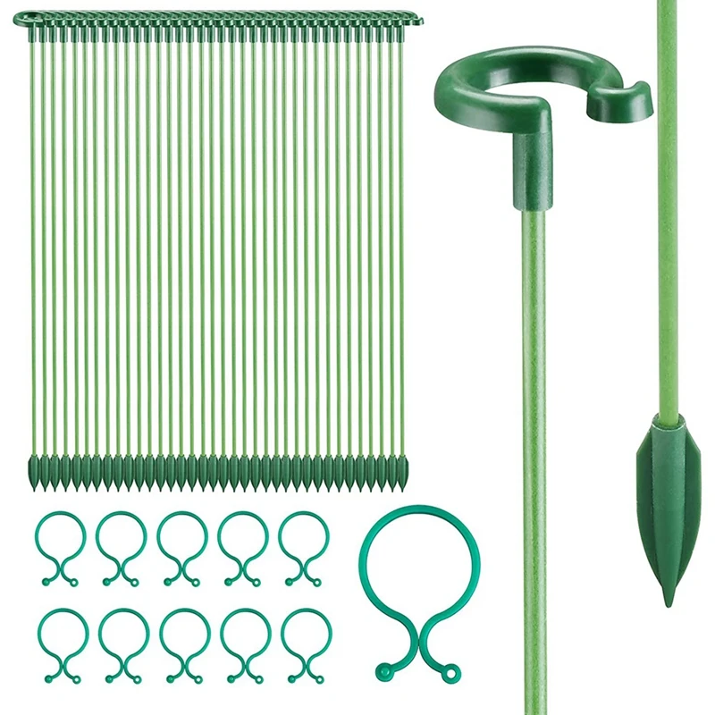 

Plant Support Stakes Plant Cage Support Rings Plant Stakes Flower Support Garden Single Stem Plant Support