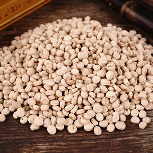 500pc High Sprouting Rate Ginseng Seed Korean Panax ginseng Seeds for plant