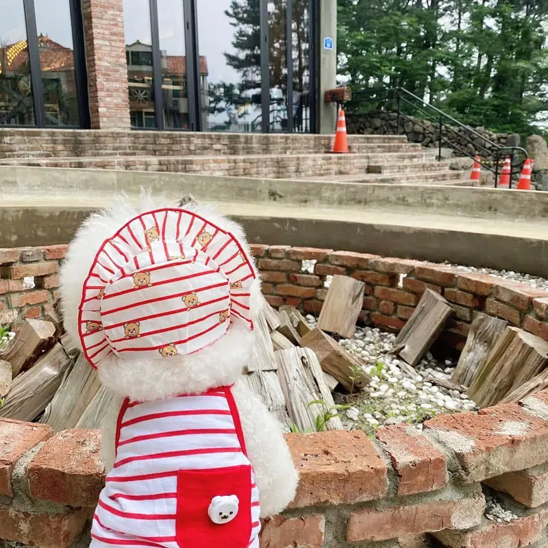 

Полосатая одежда с милым медведем, жилет, женская одежда для собак, модная шапка, весна-лето, йоркширский терьер, модная синяя одежда для соб...