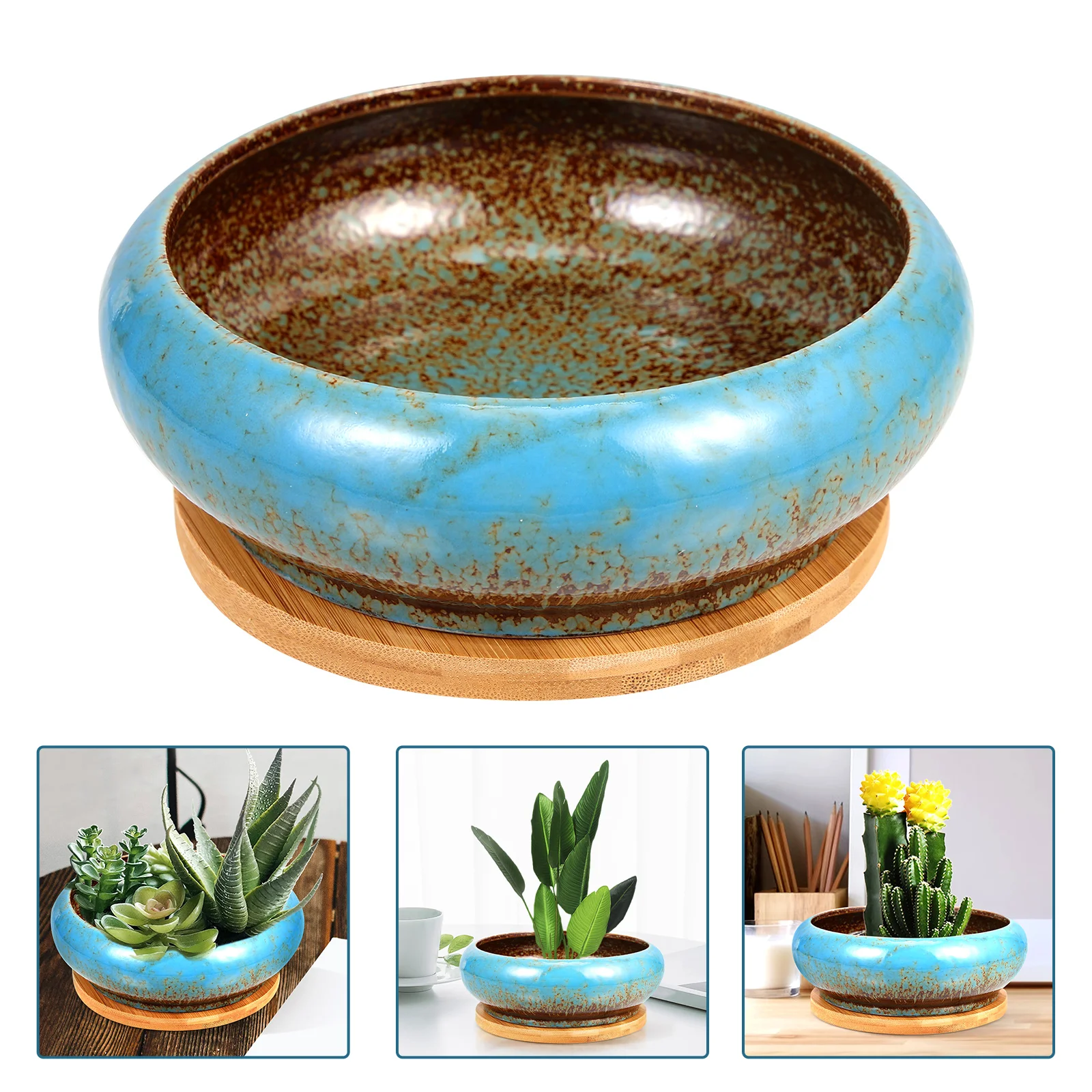 

Pot Flower Succulent Succulents Pots Decorative Planters Planter Porcelain Container Marble Shallow Bonsai Containers Indoor