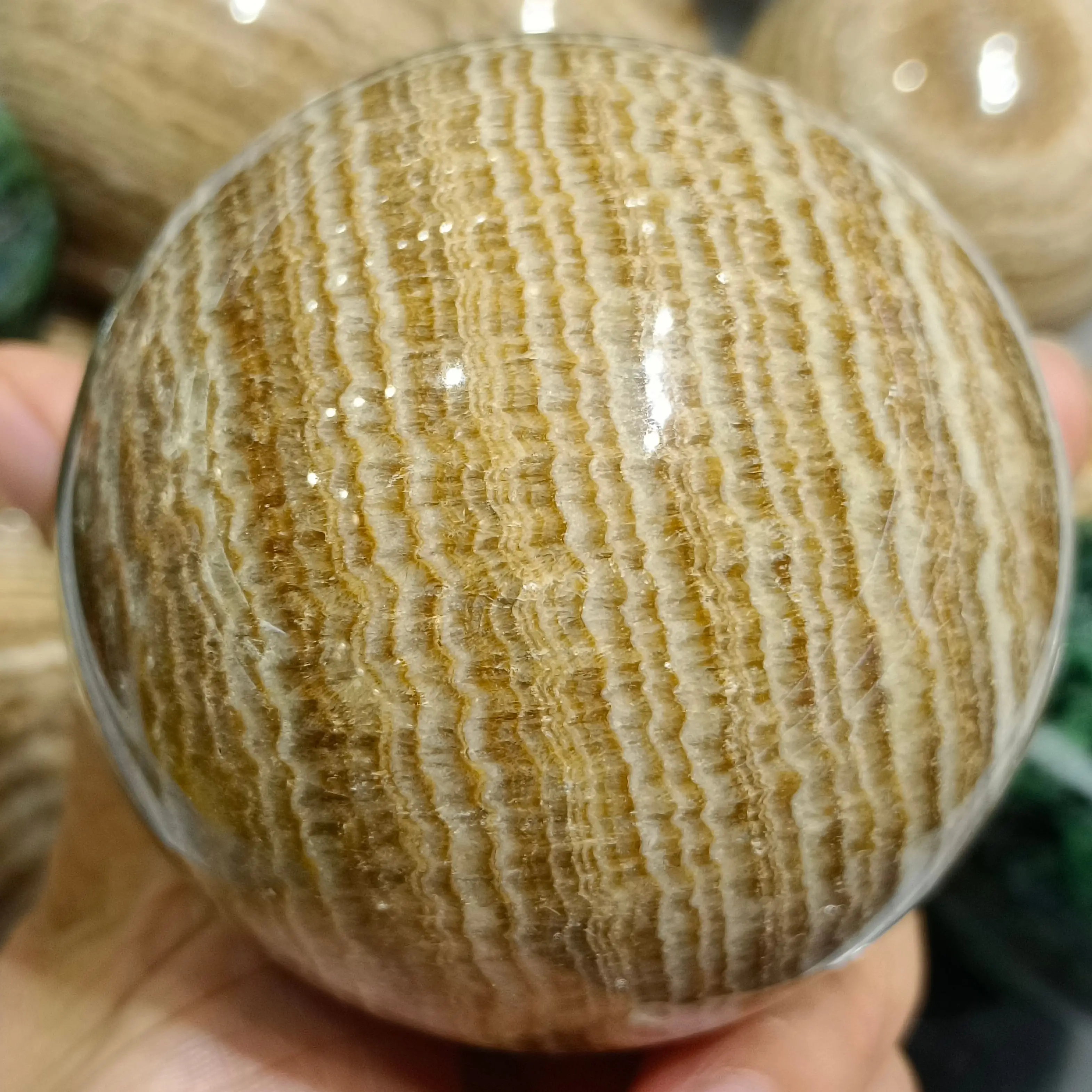 

Натуральный мелолеуский камень из древесины, ручная полировка, кристалл, энергетическое исцеление, украшение для дома и офиса, подарки по ф...