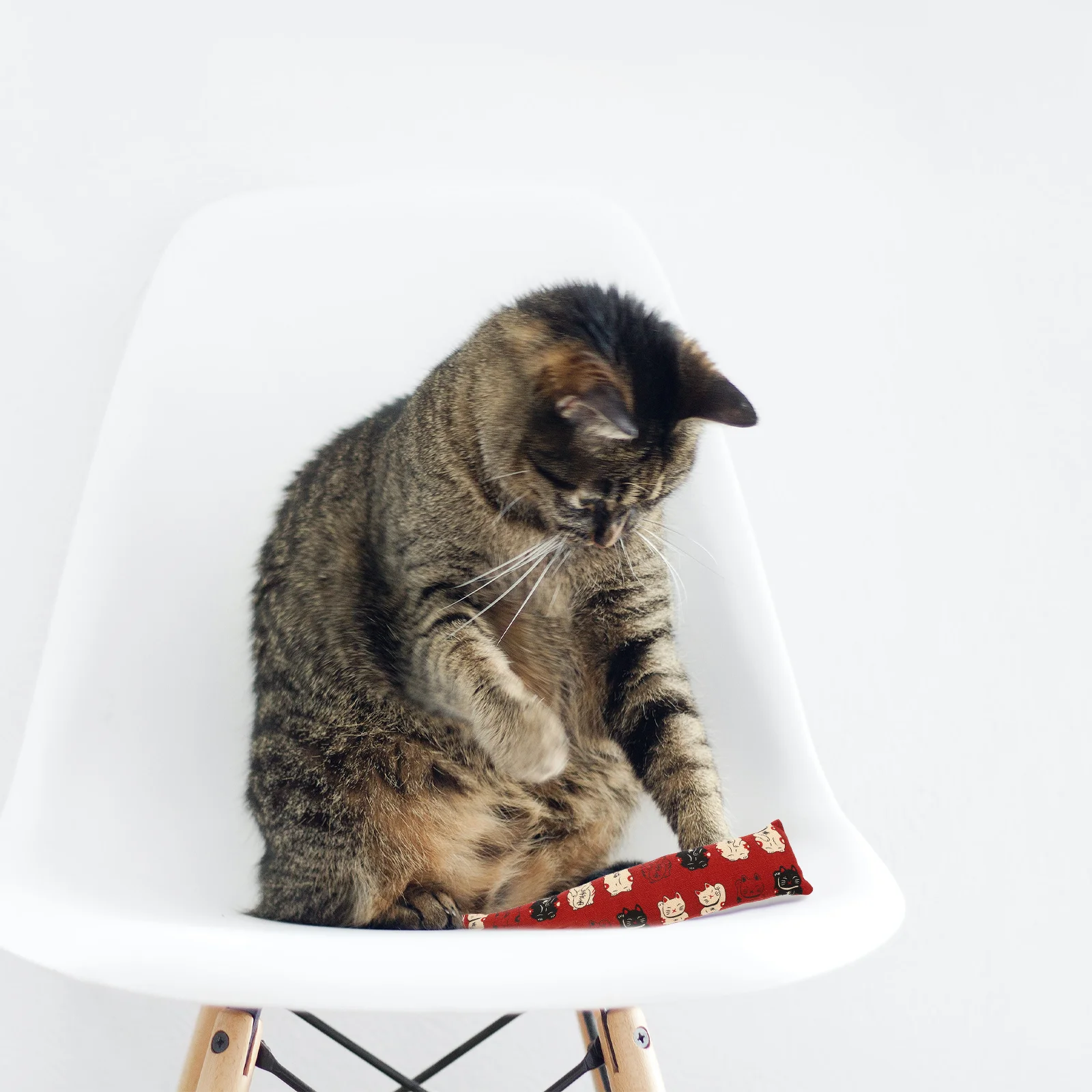 

4Pcs Lovely Cat Cat Pillow Catnip Cat Catnip Cat Diversion for Kitten