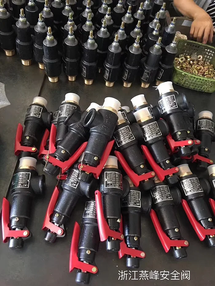 Чжэцзян Янфэн a27w-10t/16t паровой котел воздушный приемник пружинный тип DN 152025324050