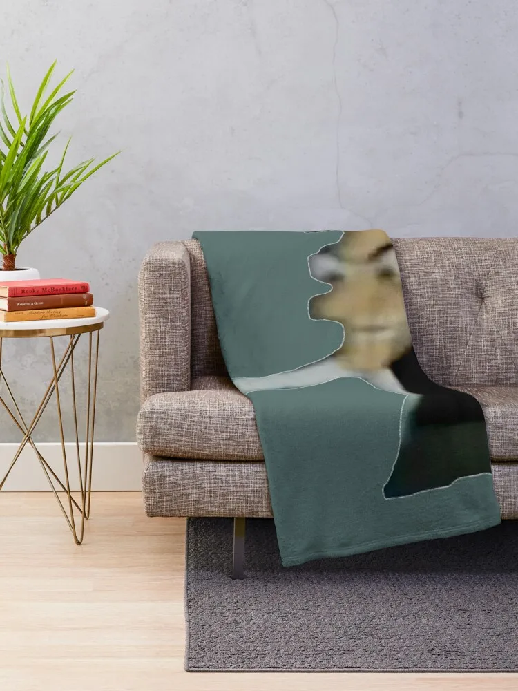 Низкое качество 3-D одеяло Dr. Heinz Doofenshmirtz плед красивые лохматые одеяла