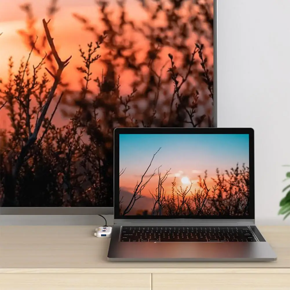 

Применяемая зарядка с 3 портами USB 3,0 Type-C, тигр Кэт, кабель-концентратор, широкая совместимость, док-станция, милая форма, офисные принадлежно...