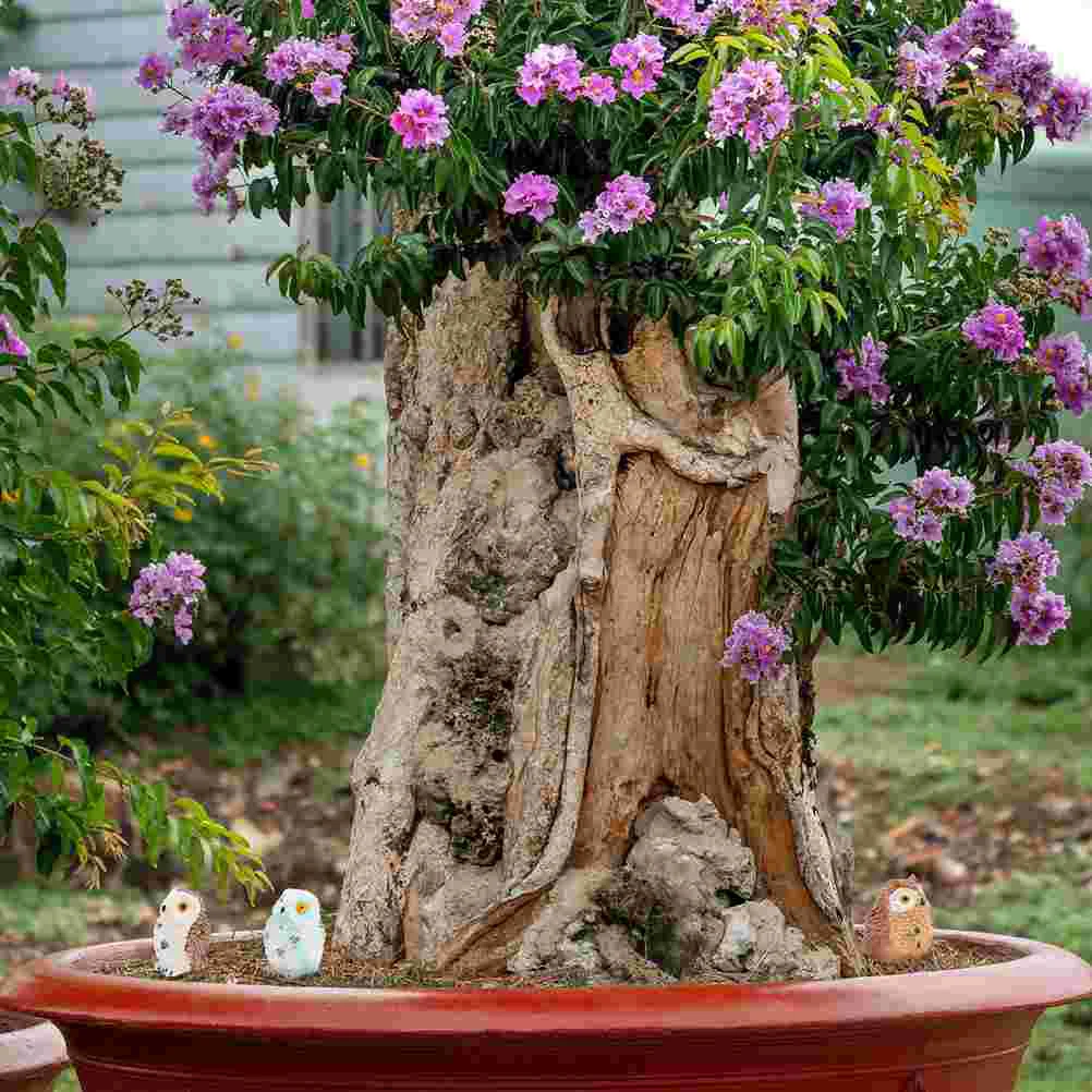 

12 Pcs Garden Miniature Decor Sculpture Exposed Owl Home Resin Decoration Craft Miniatures