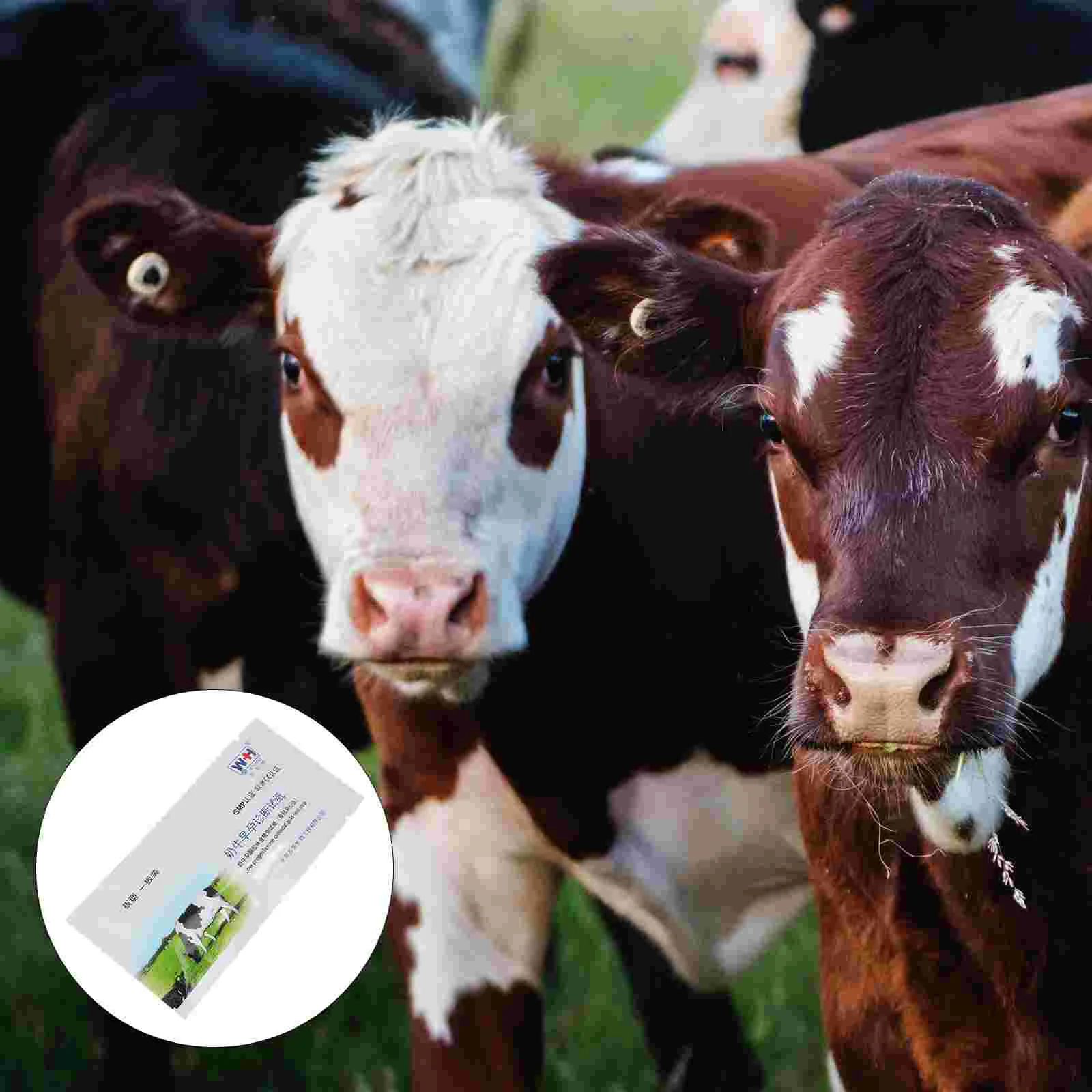 

Pregnant Tester Farm Animal Early Pregnancy Cow Pregnancy Test Paper Pregnancy Test Sticks