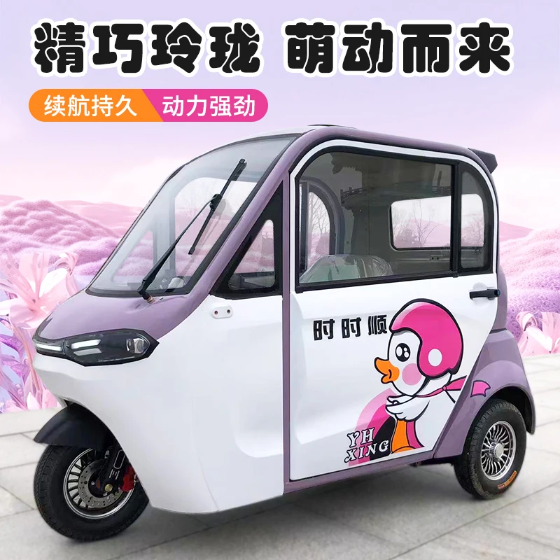 Новый полностью закрытый Электрический трехколесный велосипед Old Man Lejia с навес