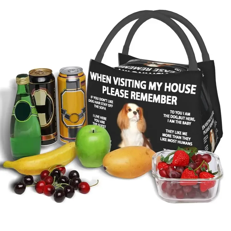 Кавалер-кинг-чарльз-спаниель изолированные сумки для обеда пикника на открытом