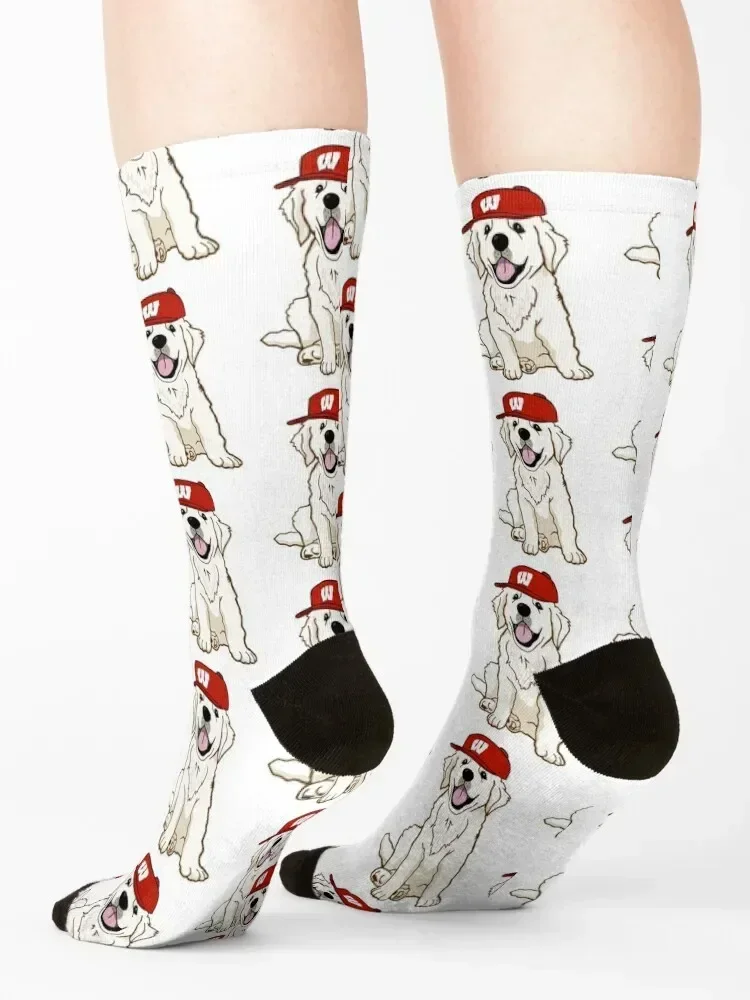 Носки для щенка UW-Madison футбольный подарок чулки носки на заказ мужские и женские