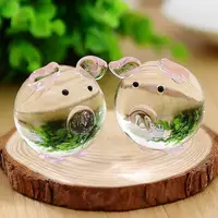 2 Piece Cute Pig Crystal Figurines Miniatures Handmade Glass Animal Pet Crafts Home Decor Kids Gifts