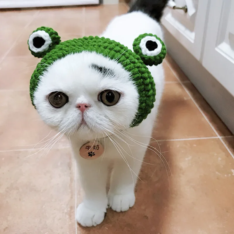 

HZJ Cotton Cute Frog Cat Hat Cartoon Knitted Beanie Warm Pet Cosplay Accessories Photo Props Headgear For Medium Large Cat Puppy