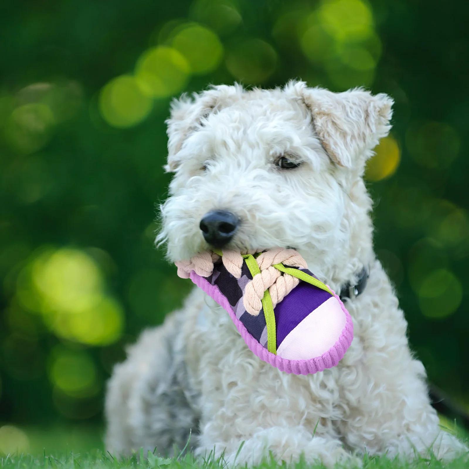 

Pet Slippers Toy Small Dog Toys Bite Resistant Puppy Teething Chew Cotton Rope Molar Shoe Shaped