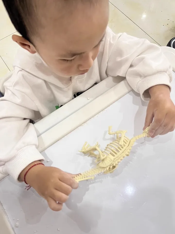 Игрушки для археологических раскопок динозавр тираннозавр Рекс окаменелость