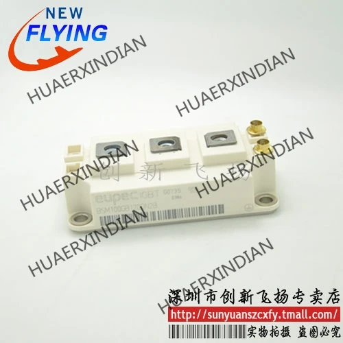

Brand New Original BSM100GB120DN2B
