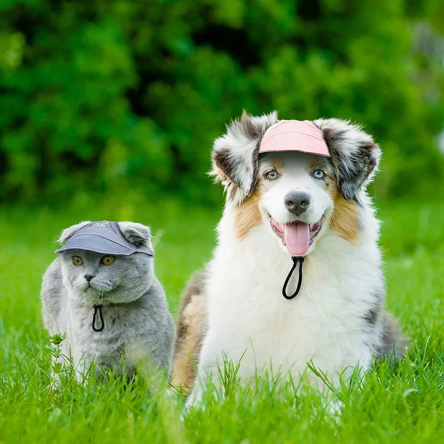 Dog Cap Adjustable Puppy Baseball Hat 
