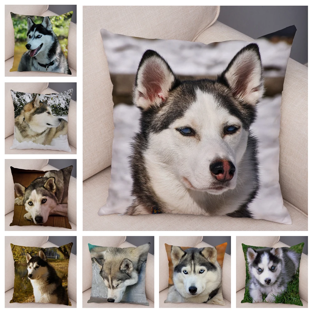 

Super Soft Short Plush Siberian Husky Dog Pillow Case Covers Decor Pet Animal Cushion Cover for Sofa Home Pillowcase 45*45cm