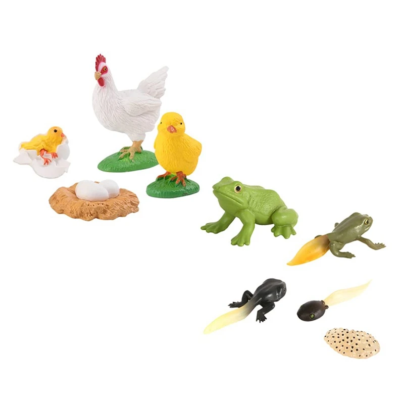 

9 PCS Animal Life Cycle Growth Model Rooster and Frogs Life Cycle Models for 5 6 7 8 Years Old Boys Girls Kid Toddlers