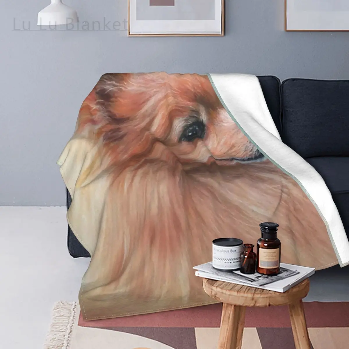 

Pomeranian Dog Blanket Flannel Winter Cute Animal Breathable Warm Throw Blankets for Bed Travel Bedspread