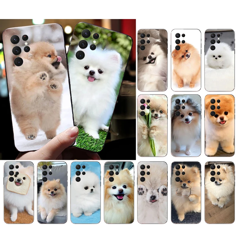 

Phone Case for Samsung Galaxy S23 S22 S21 S20 Ultra S20 S22 S21 Plus S10E S20FE Note 10Plus 20Ultra Pomeranian Dog Case
