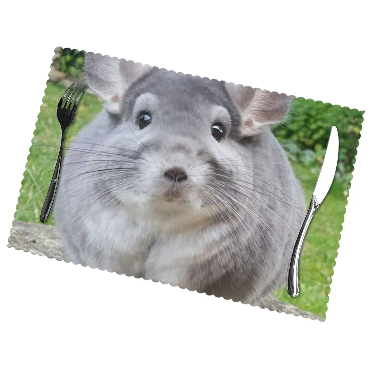 

Chinchilla Camerons Non-Slip Insulation Place Mats for Kitchen Dining Table Washable Placemats Bowl Coaster Cup Mat Set of 6