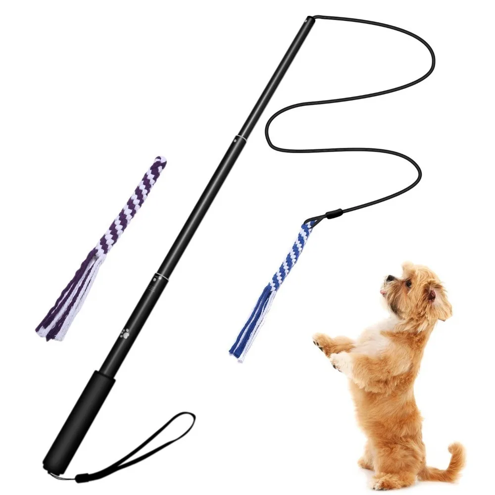 

Nylon Dog Chasing Tail Teaser 2 Toy Heads Pet Training Stick Dog Toys Pet|Dog