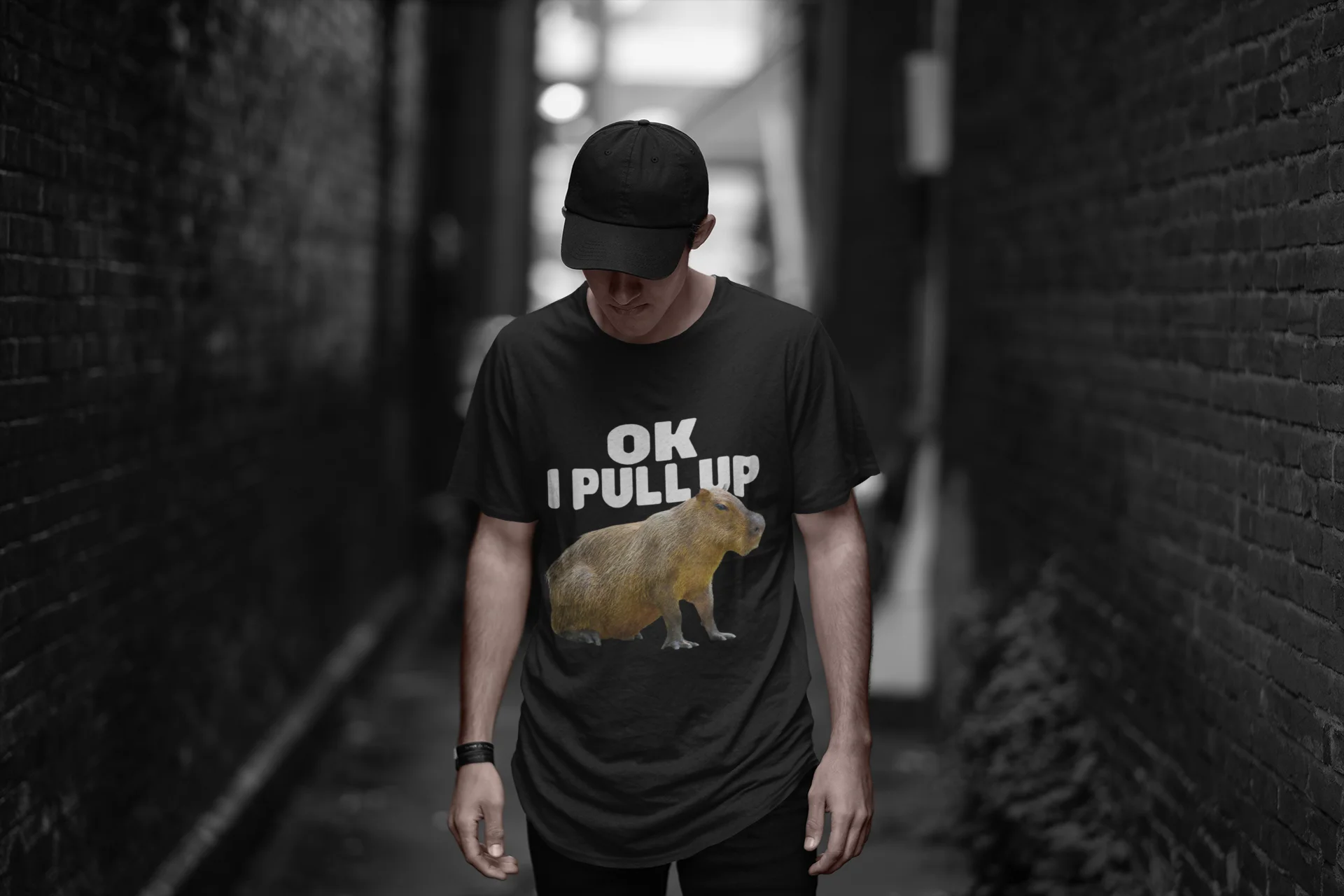 Ok I Pull Up Capybara T-Shirt Funny Memes Trend Hipster Cool Men Tshirst EU Size 100% Cotton Summer Casual Soft T Shirt Tops