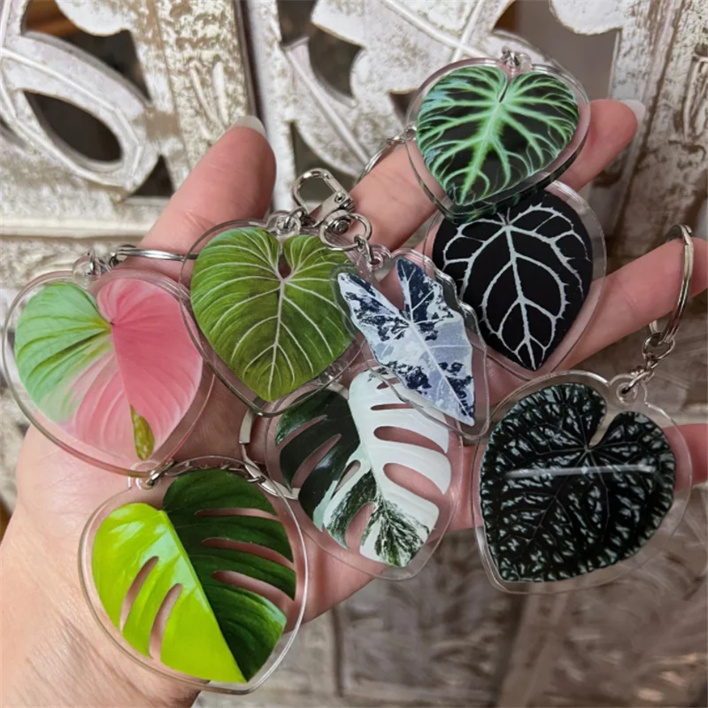 

Rare Tropical Plant Keychain for Woman Bag Car Accessori Monstera Adasonii,thai Con, Pink Princess Philo Key Chain Houseplant