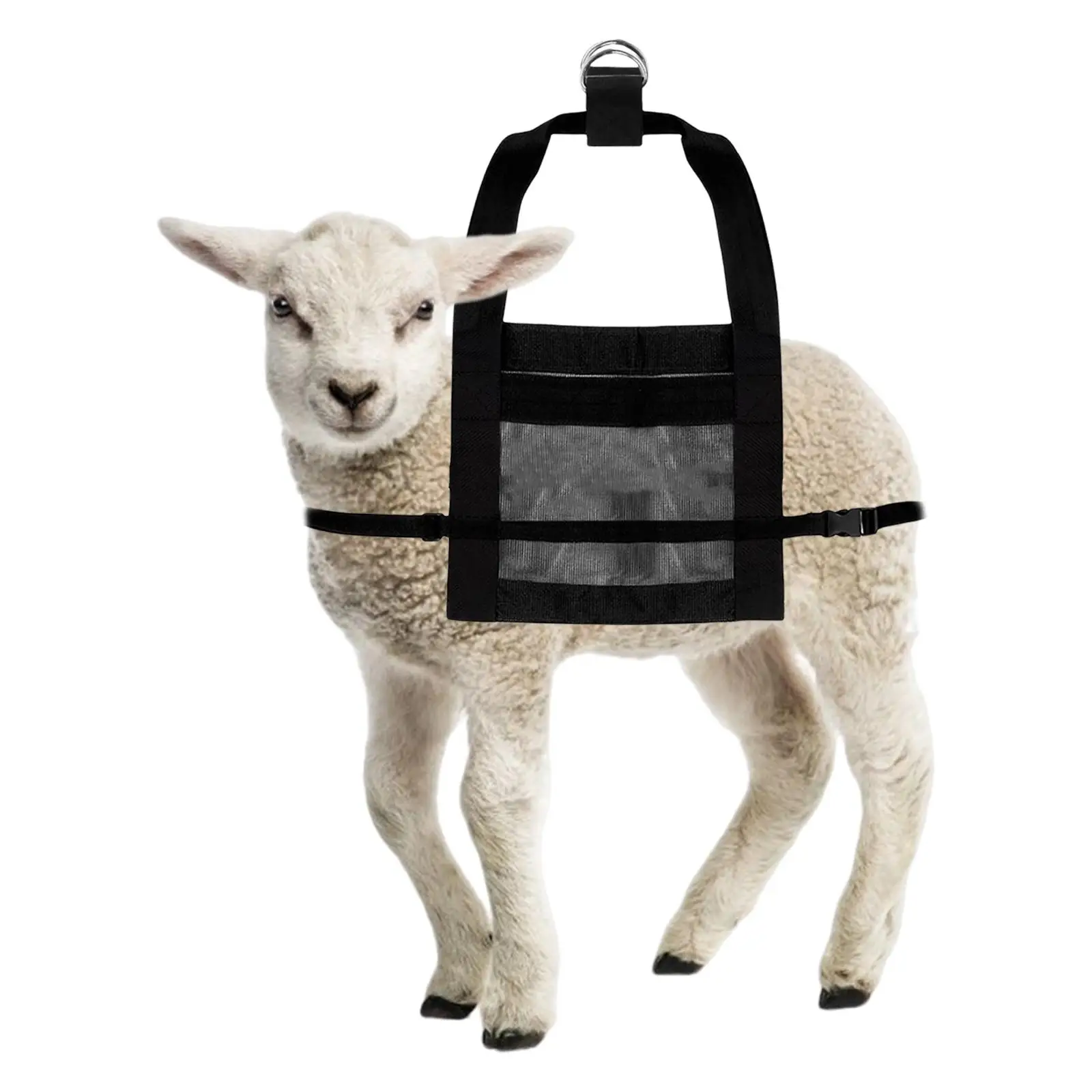 

Calf Sling Hanging Weight Scale Sling Animal Supplies for Newborn Baby