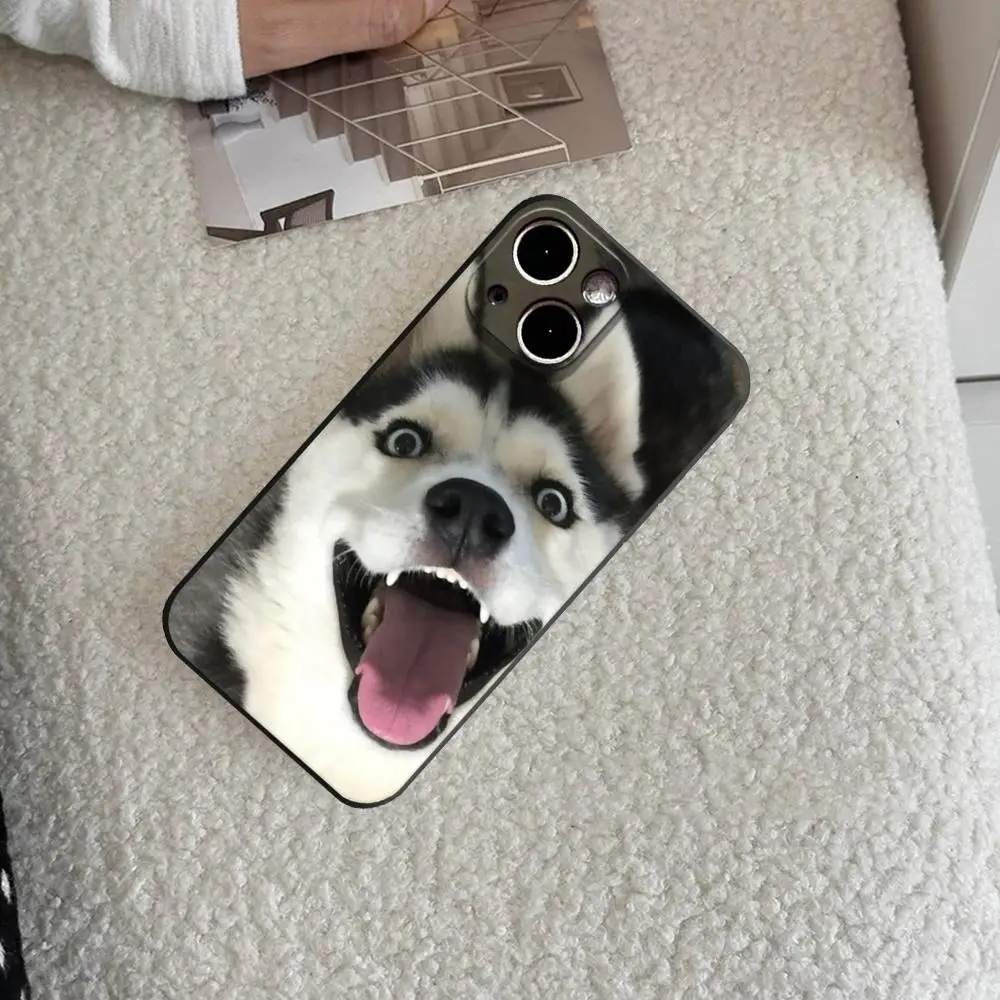 Фото Чехол для телефона с изображением собаки хаски для iPhone 17 Air 16 15 14 Plus 13 12 11 Pro Max 16e, противоударный, прозрачный, HD-качество №4