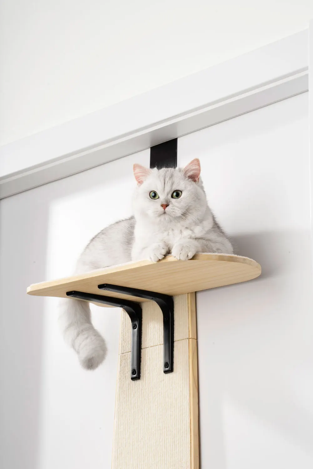 Дверная подвесная кровать Mewoofun для кошачьей сосны Экологически чистая хорошая