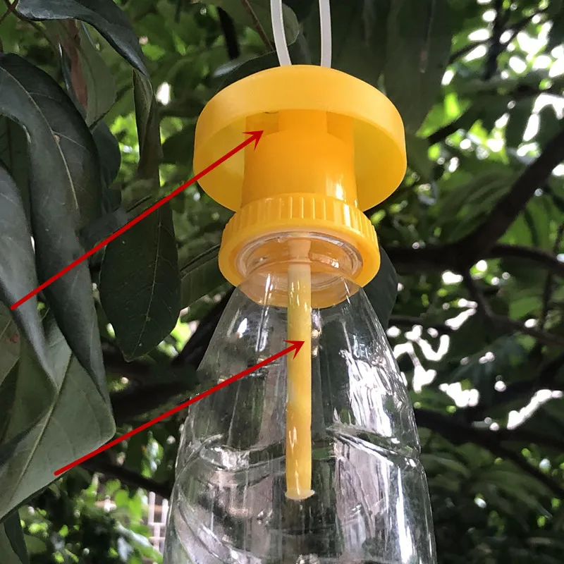 

Fruit Fly Trap Killer Plastic Yellow Drosophila Trap Fly Catcher Pest Insect Control For Home Farm Orchard 6*6cm