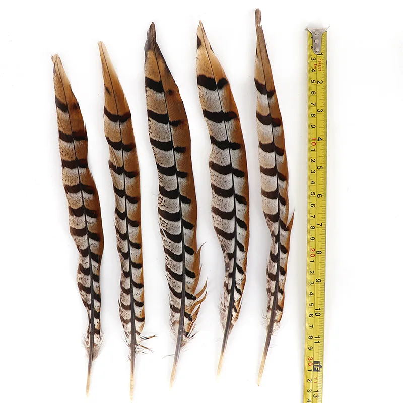 

100Pcs 35-40CM Pheasant Tails Feather Natural Pheasant Feathers Carnival Christmas Crafts Costume Reeves Chicken Feathers Plume