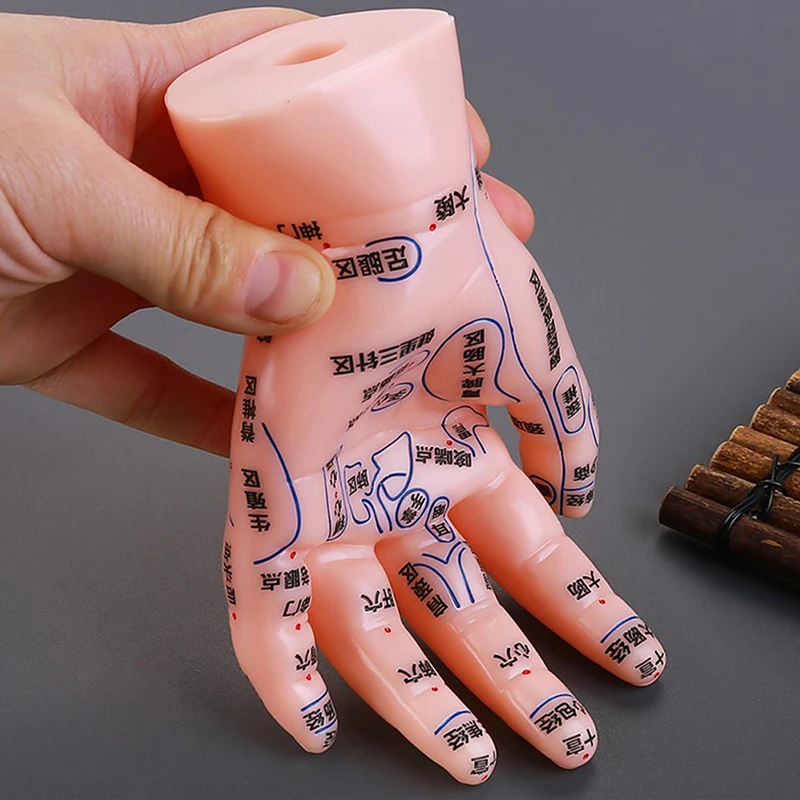 

17cm PVC Human Hand Model Ultra-clear Hand Massage Model Acupoint Massage Model