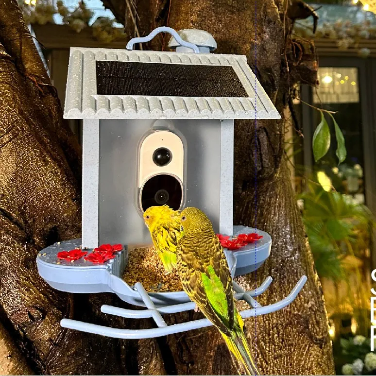 Умная кормушка для птиц солнечная зарядка определение видов автоматическая