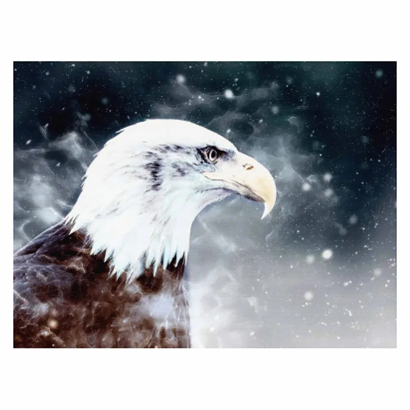 

Фотография для алмазной вышивки «Орлан»