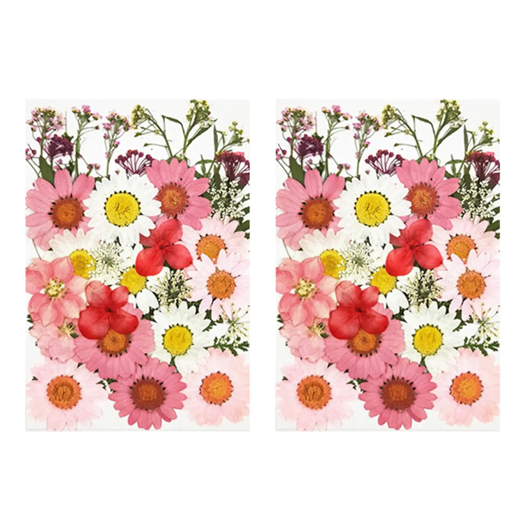 

72 шт. настоящие сушеные прессованные цветы, листья, лепестки для самостоятельного изготовления свечей, полимерные украшения кулон ноготь, р...