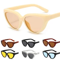 retro cat eye sunglasses small frame color lens sunglasses uv protective sun glasses fashion trend party outdoor travel glasses