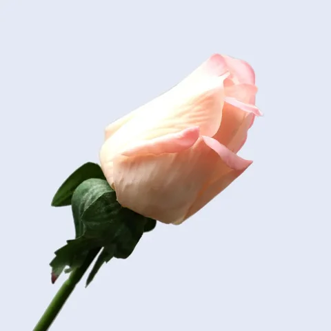 5 шт./партия, искусственные шелковые розы, 50 см