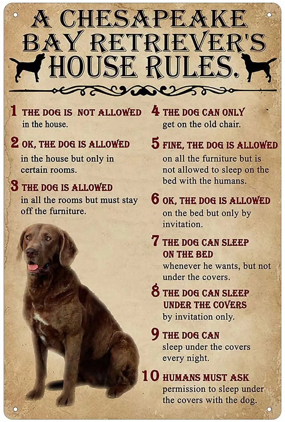 

Жестяная вывеска в виде собаки, винтажный Чесапик-Бей ретривера, настенное украшение для дома, фермы, бара, дома, клуба, кафе, подарок на стен...