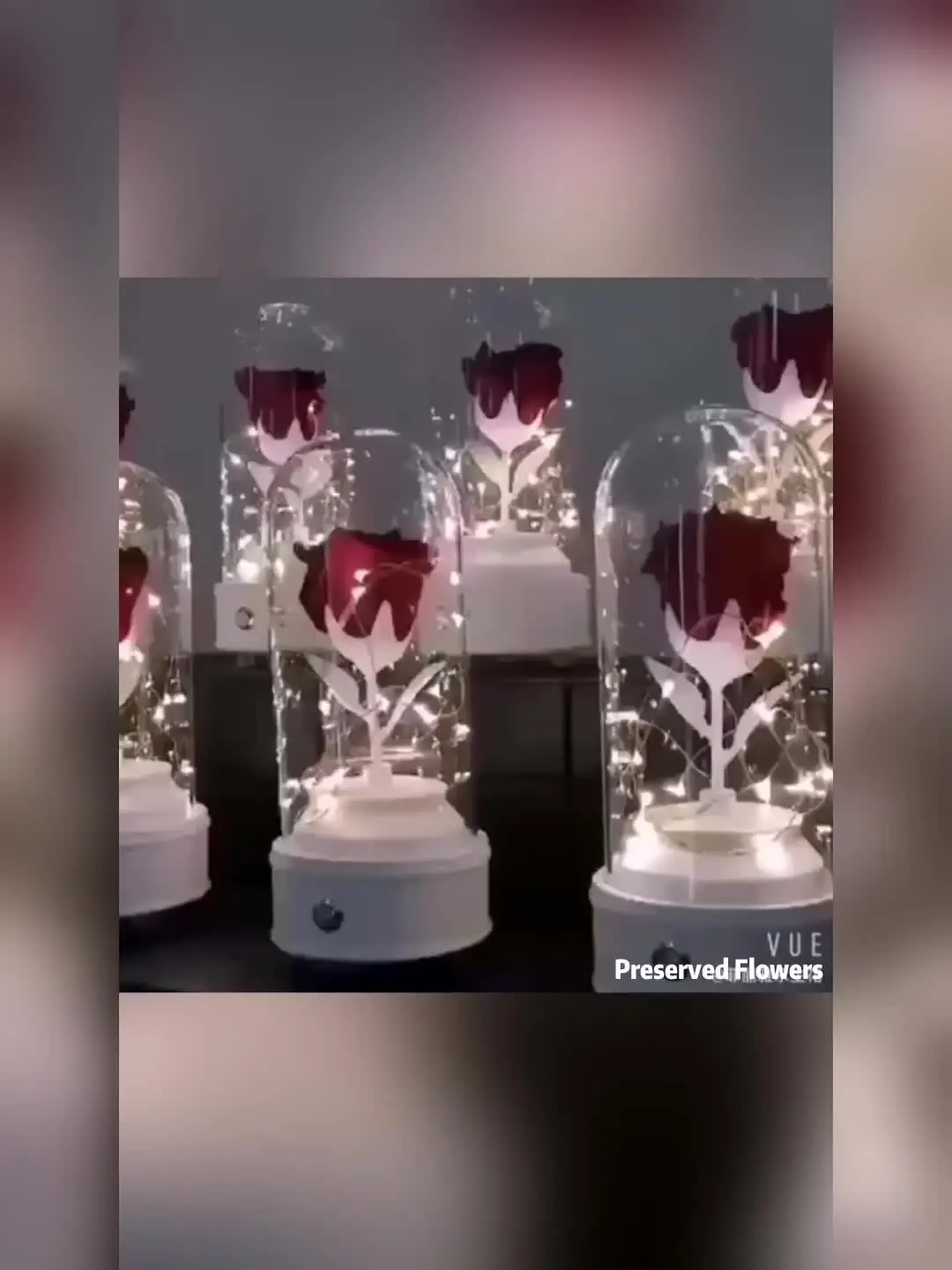 

Сохраненный цветок розы настоящий цветок музыкальная шкатулка оптовая продажа Рождественская музыкальная шкатулка элегантная музыкальна...