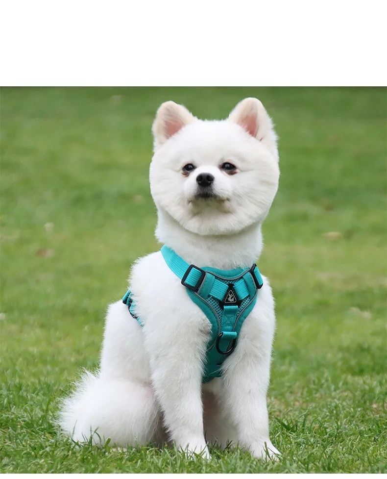 

Светоотражающая дышащая веревка для собак и кошек