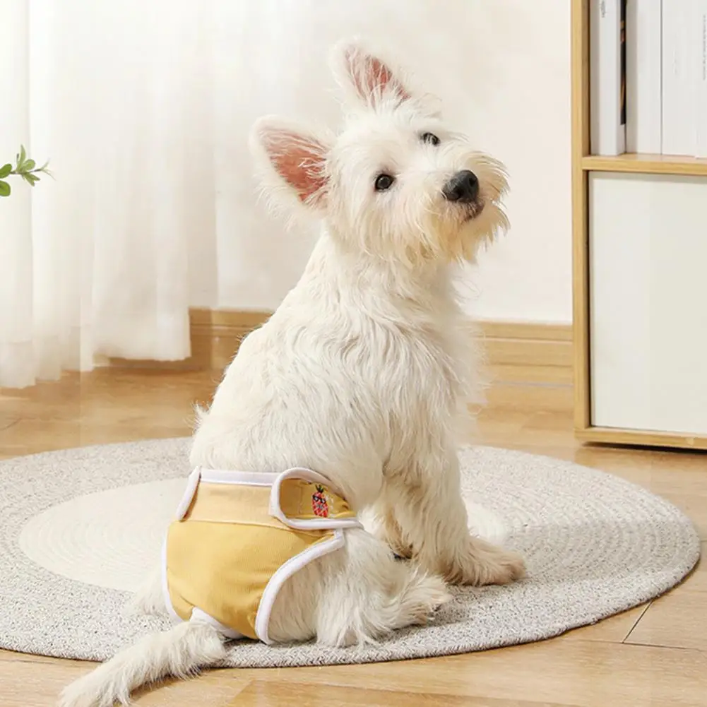 

Pet Care Products for Female Dogs Breathable Mesh Female Dog Diapers Leak-proof Water-absorbed Pet Menstrual Pants for Heat