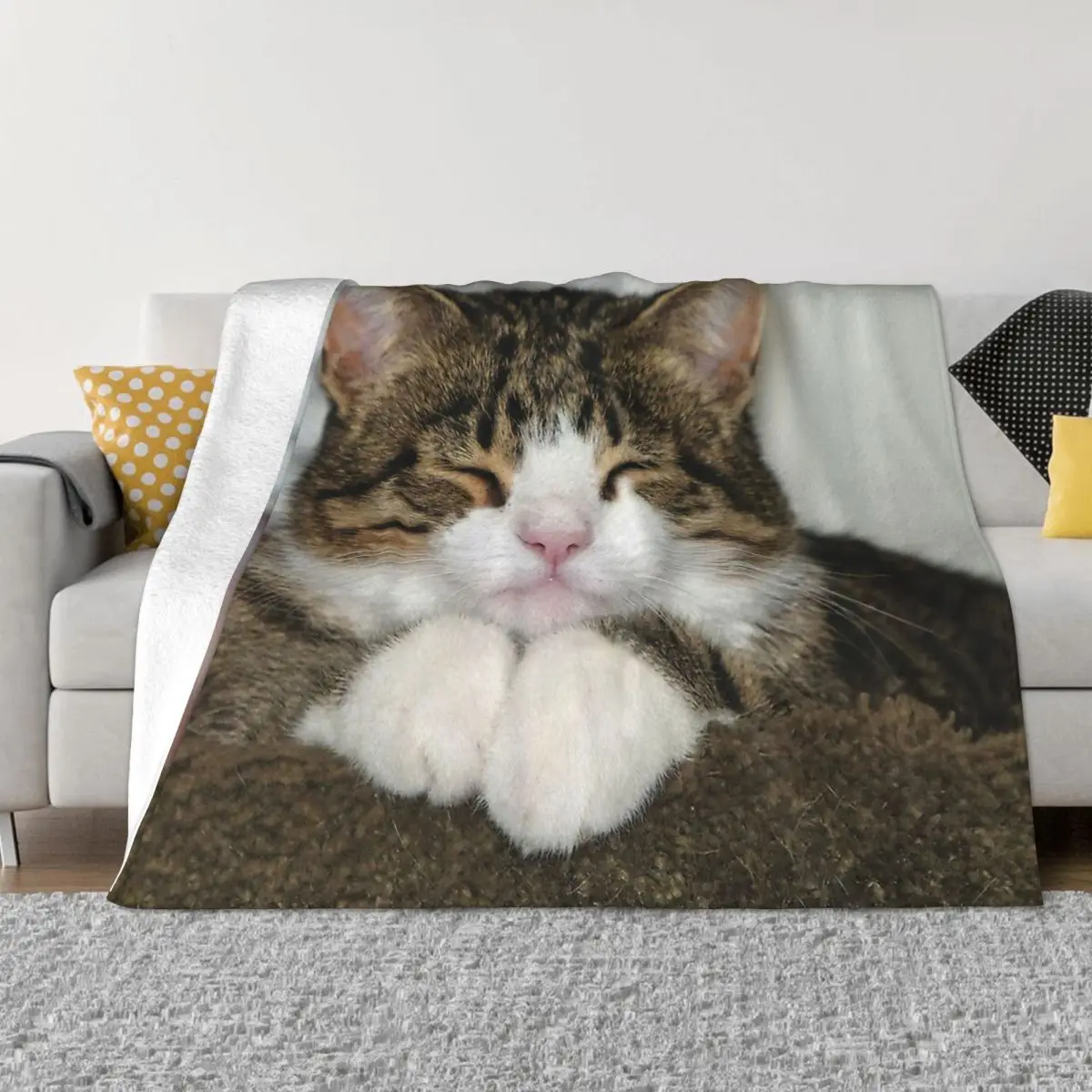 

Портативные теплые одеяла для путешествий с изображением милой кошки