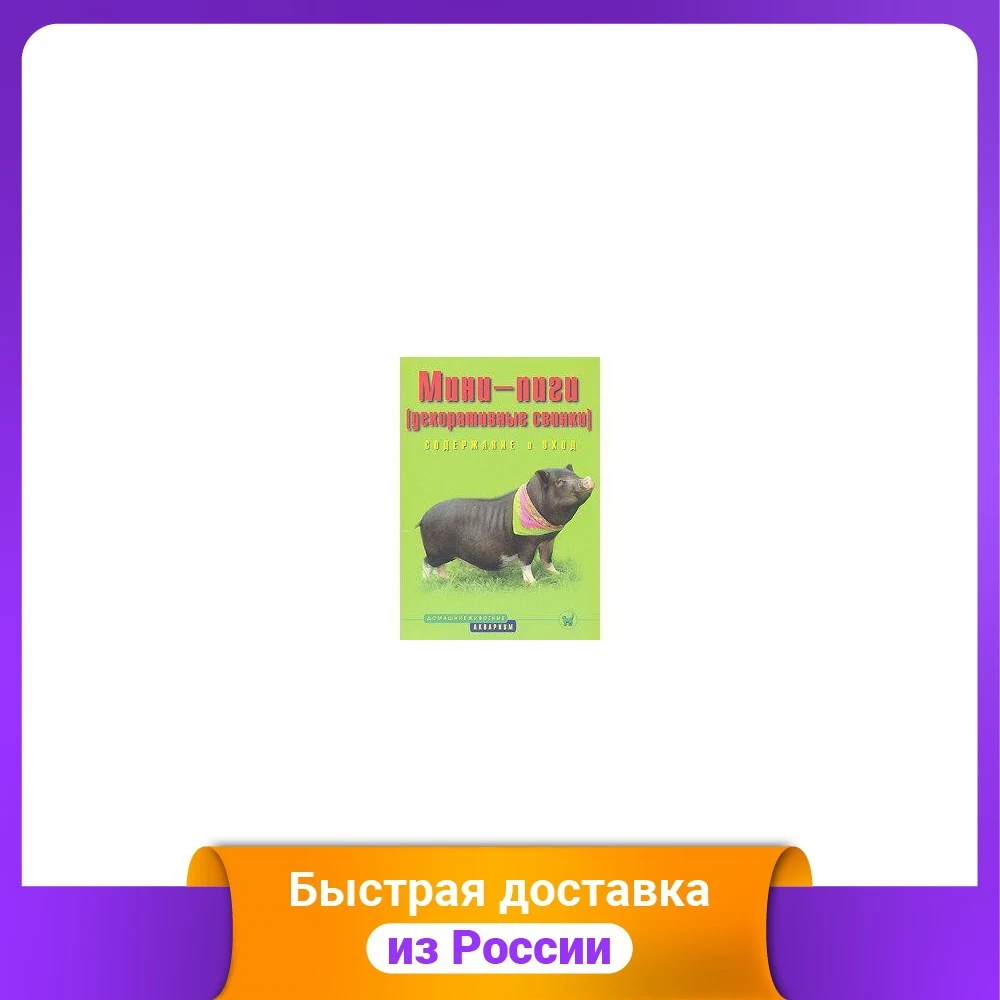 Мини-пиги (декоративные свинки). Содержание и уход |