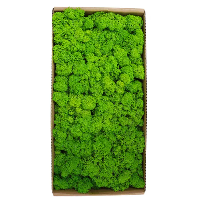 

500g Preserved Moss Wall Decoration No Maintenance Required Fake Artificial Plants Office Home Garden Decor Eternel Moss