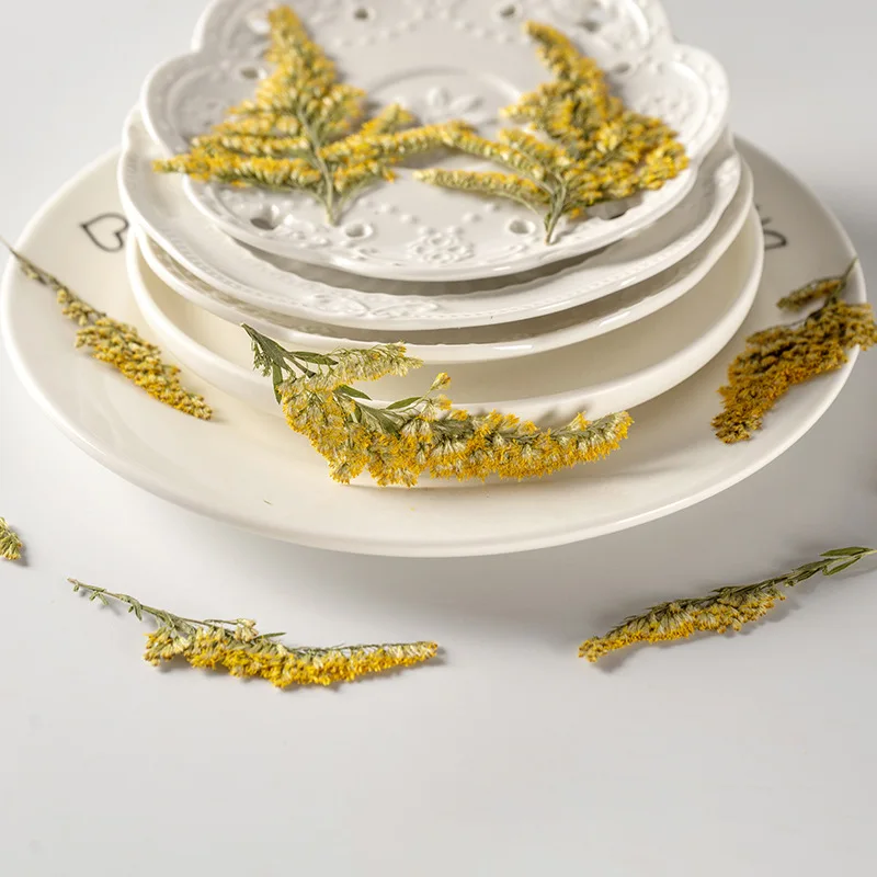 

120pcs/500pcs Solidago Canadensi Flower Pressed Flower For Resin Dried Flower DIY Phone Cover Craft Art Canlde Soap Scrapbook